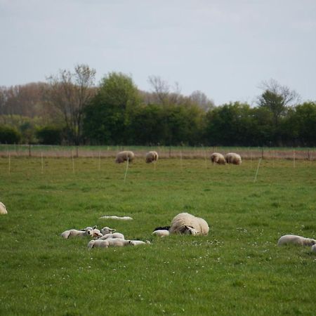 De Wijde Verten Oostkapelle Exteriér fotografie